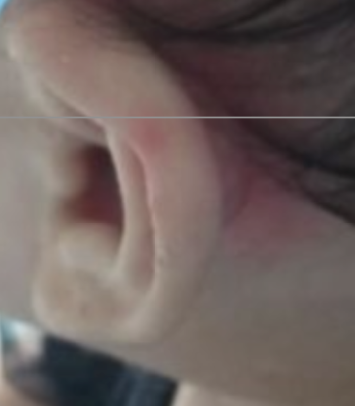 review-2