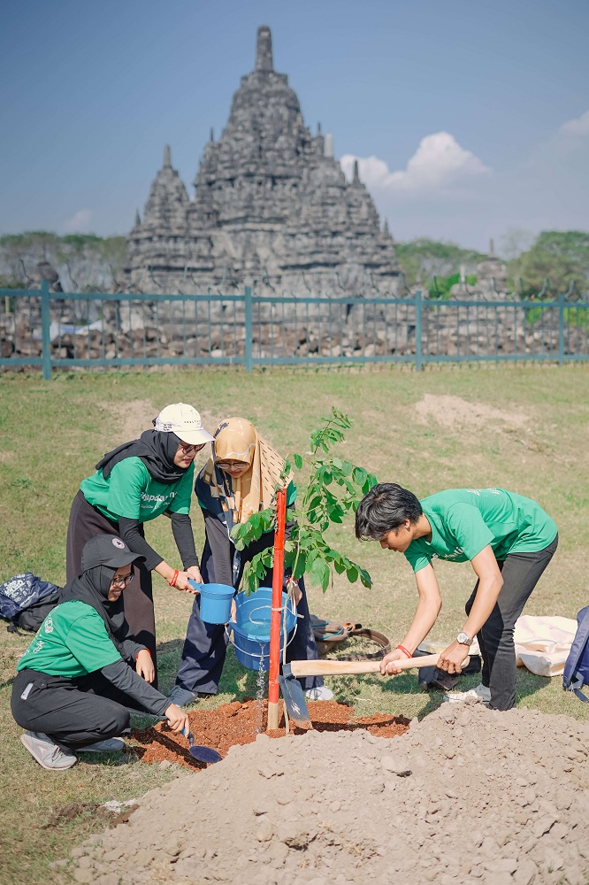20260329184655_candi2.jpg