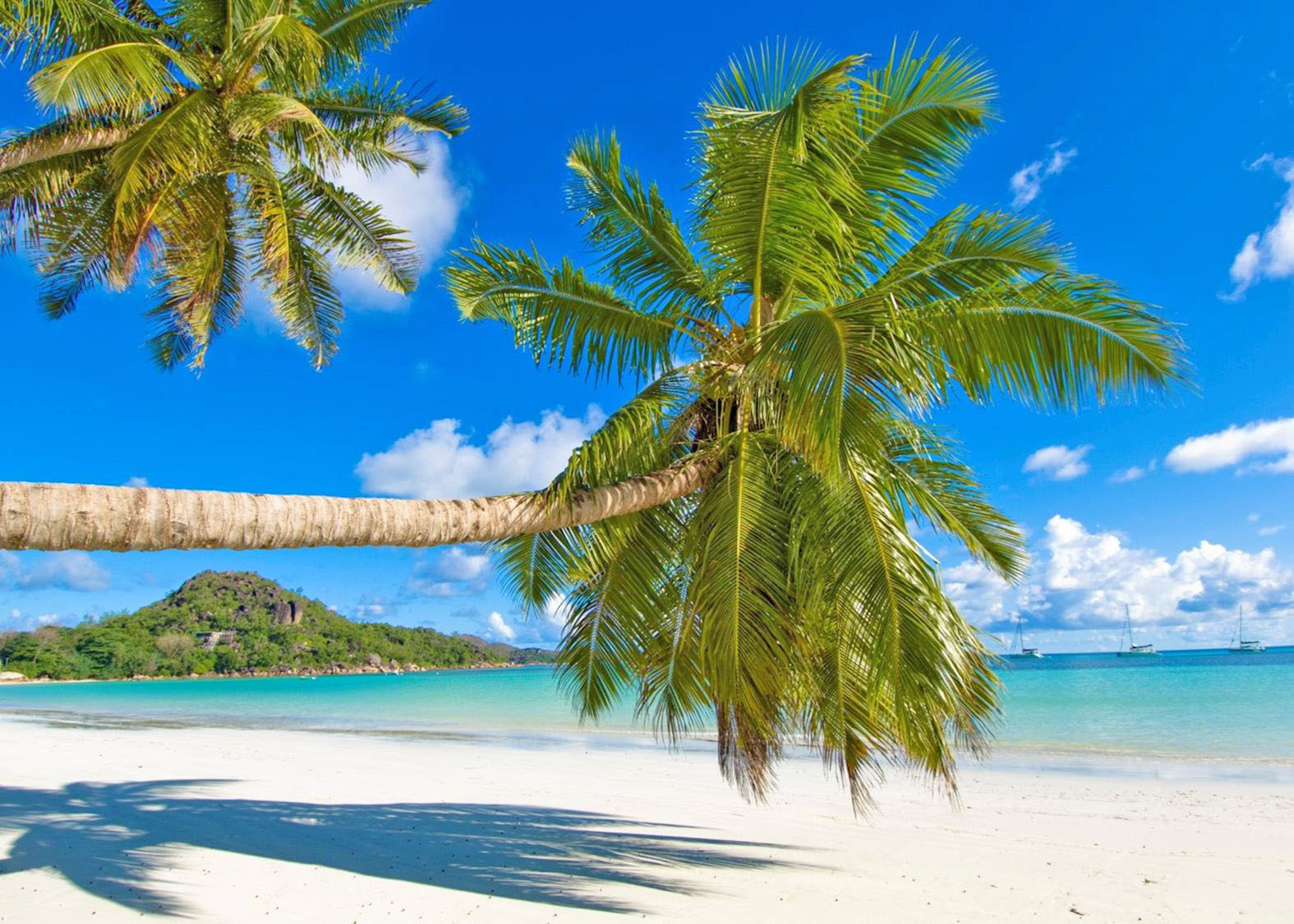20260524232640_257234-praslin-seychelles.jpeg