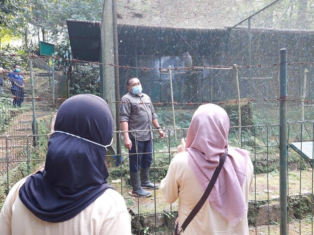 20260710153722_Foto-Elang-1.jpg