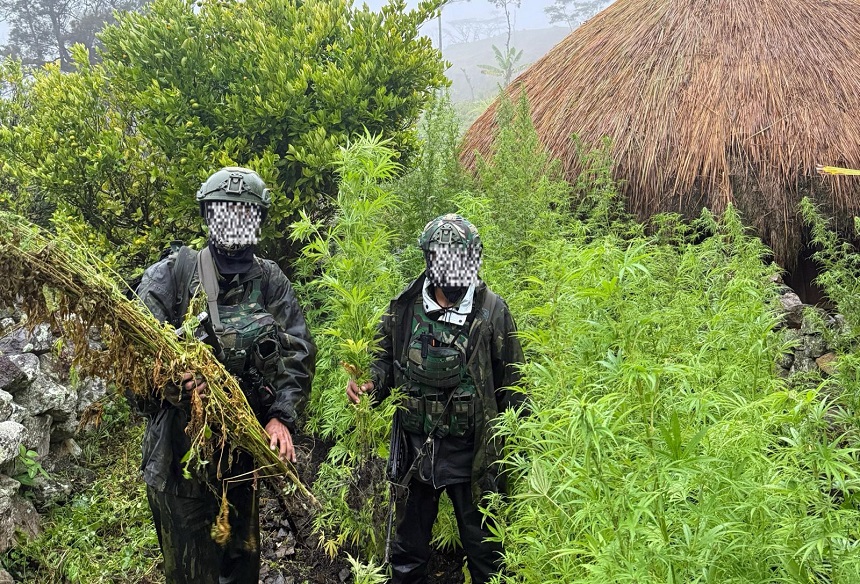 20260716232944_Batang-Ganja-Berhasil-Diungkap-Koops-TNI-Habema.jpg
