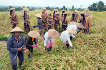 Pembukaan Jatiluwih Festival 2026 Warnai Pariwisata Bali
