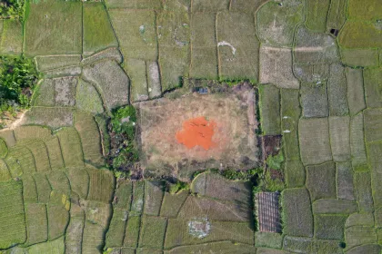 Sawah terdampak kekeringan di Banten