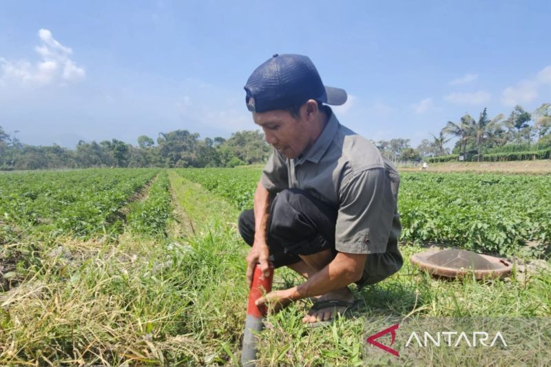 Pemerintah Klaim Sertifikat Tanah Permudah  Layanan Warga, Benarkah