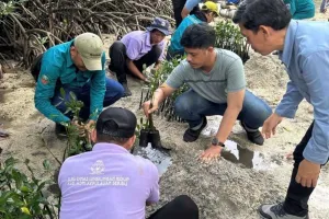 Aksi Tanam Mangrove dan Pelepasan Tukik di Kepulauan Seribu