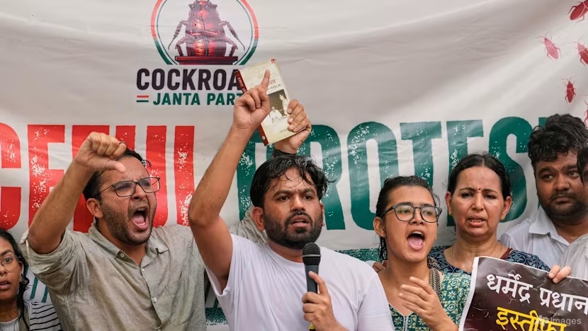Gerakan Pemuda "Kecoa" yang Viral di India Gelar Aksi Protes di Jalanan New Delhi