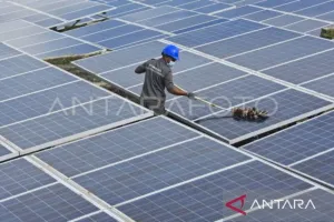Terang Bersama Tenaga Surya, Enam PLTS Komunal Mengalirkan Energi untuk Kepri