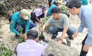 Tukik Merangkak di Hari Lingkungan Hidup