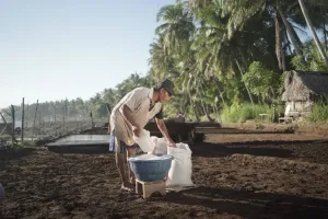 Gambar berita populer Desa Les di Bali Kembangkan Wisata Berbasis Masyarakat dan Pelestarian Lingkungan