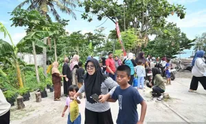 Pemerintah Lakukan Asesmen Pastikan Perkuliahan di Palu Berjalan Aman 