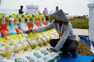 Bapanas Mencatat 7,7 Juta Ton CBP Disalurkan ke Masyarakat Selama 2023–2025