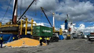 Hilirisasi dan Logistik Terintegrasi Disiapkan untuk Perkuat Ketahanan Pangan di Indonesia Timur