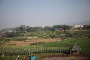 Wali Kota Bandung Kaji Skema Lumbung Pangan  