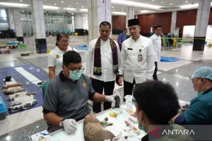 360 Kucing Disteril dan Divaksin di EastJakFest 2026, Meriahkan HUT ke-499 Jakarta.