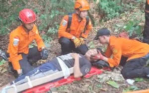 Tim SAR Evakuasi Warga Jatuh Saat Memetik Melinjo di Gunung Gede