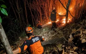 Gambar berita populer Kebakaran di Gunung Puncang Jatim Hanguskan 2 Hektare Lahan 
