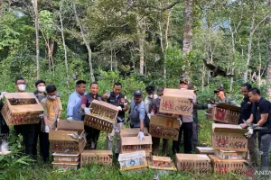 977 Burung Hasil Gagalkan Penyelundupan di Bakauheni Dilepasliarkan ke Habitat Alami.