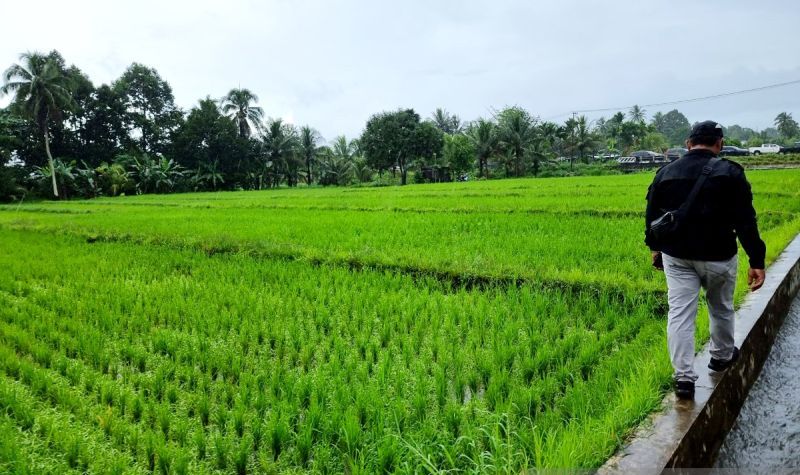 Kalbar Akan Bangun Pusat Riset Pertanian di Singkawang, Menggandeng Tiongkok