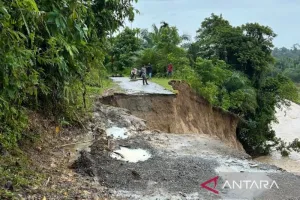 Gerak Cepat, Padang Pariaman Prioritaskan Penanganan Longsor dengan Buka Akses Transportasi Warga