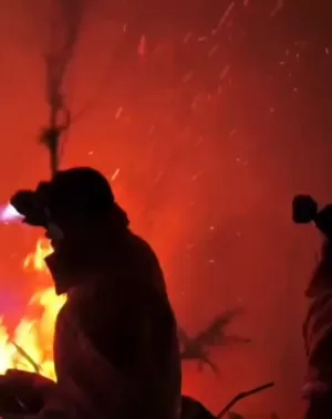 Update Kebakaran Hutan Gunung Bromo: Hampir 8 Hektare Hangus