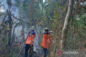 Karhutla Mengancam Permukiman, BPBD OKU Bergerak Cepat Padamkan Api di Sekarjaya.