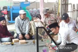 Bertani dengan Cerdas, Pemprov Jatim Latih Petani Teknik Pengendalian Hama Ramah Lingkungan