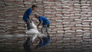 Beras Indonesia Surplus 3,67 Juta Ton, Kok Harga di Daerah Masih Bisa Rp30 Ribu?