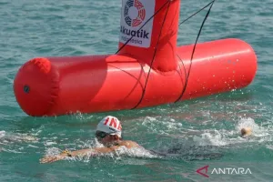 Luar Biasa Indonesia Borong Medali! Tampil Gemilang di Kejuaraan Open Water Swimming Asia Tenggara