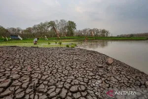 ADB: Eskalasi Konflik dan El Nino Ancam Perekonomian Asia dan Pasifik