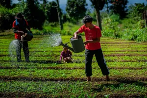 Asosiasi Bank Benih dan Teknologi Tani Indonesia Ungkap Angka Petani Muda Alami Penurunan