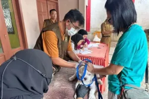 Hari Rabies Sedunia, Pemkot Bandarlampung Vaksinasi Gratis Hewan Peliharaan Warga  
