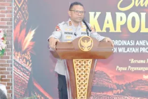 Kapolda Papua: 29 Orang Meninggal Akibat Aksi KKB di Papua Pegunungan