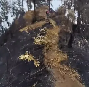 Kebakaran Gunung Kawi Melanda 1.538 Hektare, Pipa Air Warga Ikut Terbakar