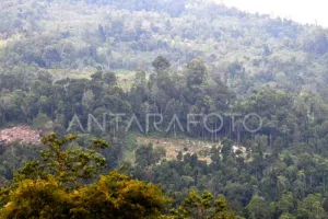 Konservasi Berbasis Adat Menguat, Aceh Andalkan Kearifan Lokal