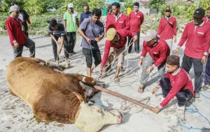 Puluhan Juleha Dilatih Kemenag untuk Tingkatkan Kapasitas Bangun Ekosistem Halal yang Berkualitas