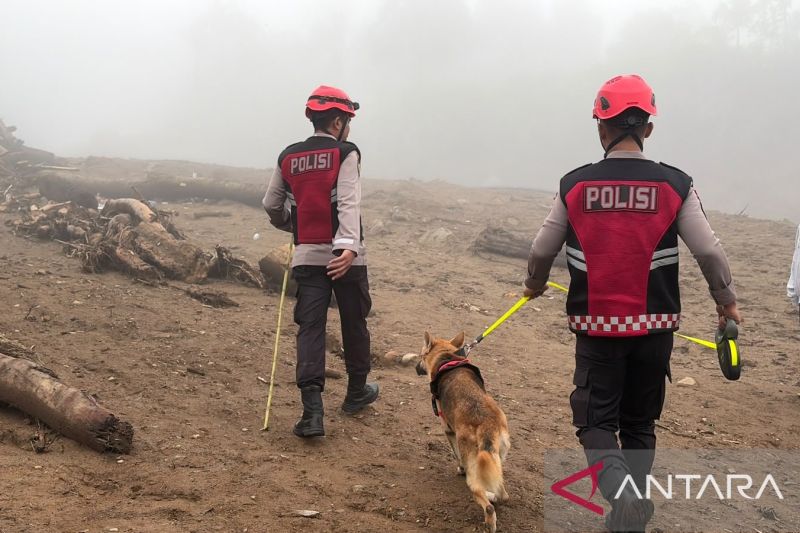 Satwa Pelacak Dikerahkan Polda Sumbar, Bantu Cari Korban Banjir Bandang Solok