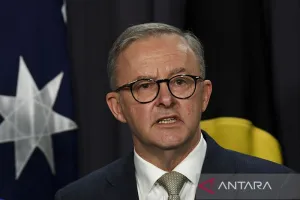 Website Pemerintah Australia Disusupi Agen AI, Albanese Kecewa OpenAI Lamban Kasih Info