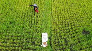 Hari Tani 2026, Pupuk Indonesia Pastikan Pupuk Terjangkau dan Mudah Diakses Petani.