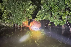 Pengamanan Area Penemuan Bangkai yang Diduga Ikan Paus