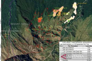 Kebakaran Bukit Setampol Rinjani Makin Meluas, 723,7 Hektare Lahan Terbakar