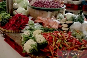 Harga Cabai di Purwokerto Kembali Melejit, Emak-emak Mulai Keluhkan Dampaknya