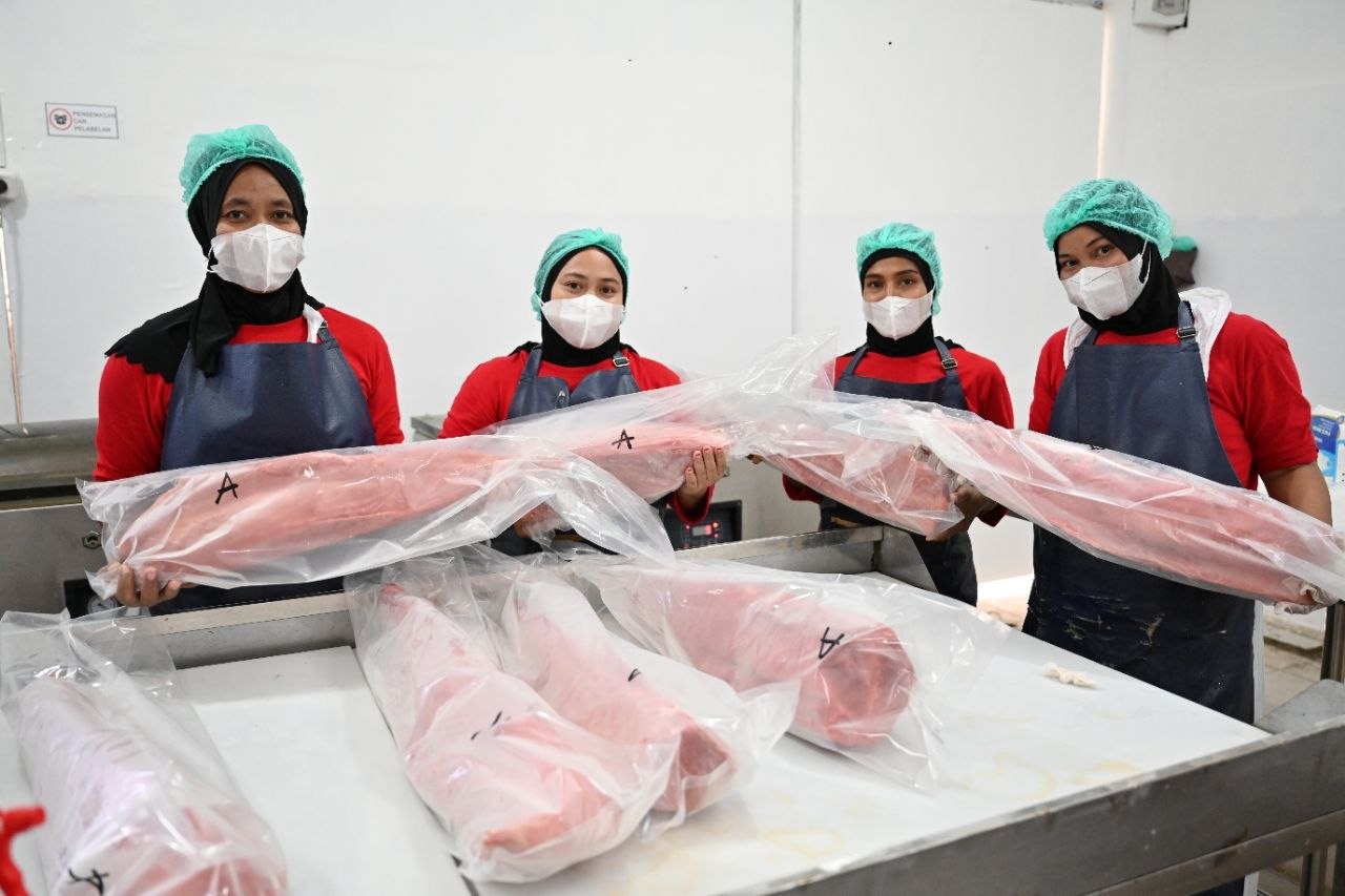 Penghasilan Nelayan Sinjai Naik 75 Persen, KNMP Tongke-Tongke Kirim 12 Ton Tuna Loin ke Jakarta