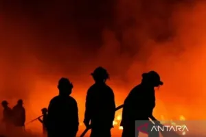 Sebuah Restoran di Jalan Wijaya VI  Jakarta Selatan Terbakar, 17 Mobil Damkar Dikerahkan 