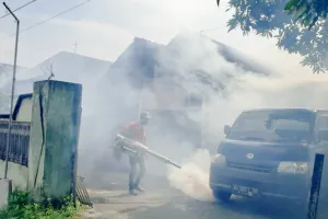 Jangan Remehkan Demam, Terlambat Bawa ke Rumah Sakit, 2 Warga Tulungagung Meninggal Akibat DBD