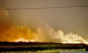 Langit Merah Mencekam di Barito Kuala, Karhutla Kepung Jalan Utama dan Ancam Rumah Warga