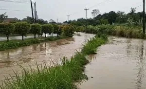 BPBD Bogor: 113 Rumah di Cibinong Sempat Terendam Banjir