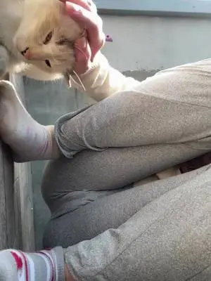 Kunjungi akun @xinxo686 di TikTok