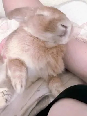 Kunjungi akun @cr_lin0214 di TikTok