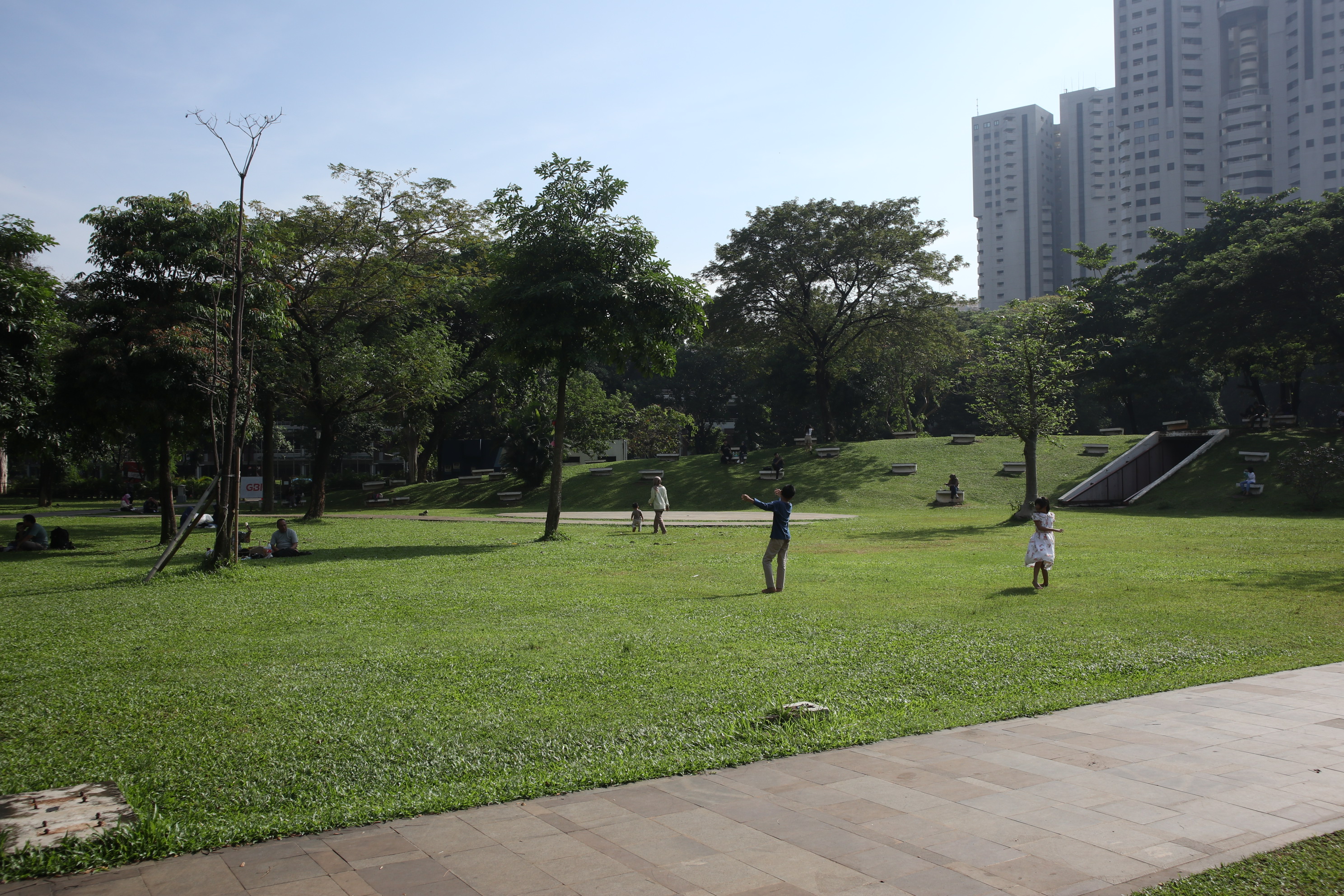 Hutan Kota GBK: Oase Hijau di Tengah Beton Sudirman yang Cocok Buat Piknik Sore pastirumah.com
