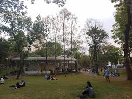 Menjelajahi Tebet Eco Park: Taman Kota Modern yang Menyatukan Alam dan Rekreasi Keluarga pastirumah.com